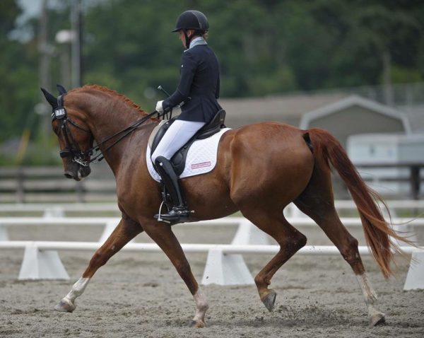 Becoming The Best – How Top Riders Made It To The Top